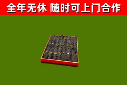 乐昌回收海参